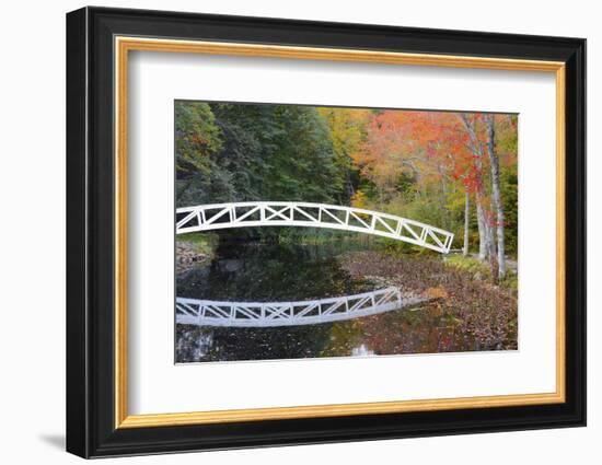 White Footbridge, Autumn, Mount Desert Historical Society, Somesville, Maine, USA-Michel Hersen-Framed Photographic Print