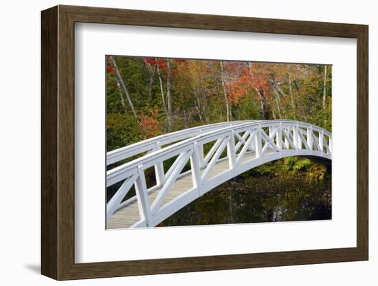 White Footbridge, Autumn, Somesville, Mount Desert Island, Maine, Usa-Michel Hersen-Framed Photographic Print