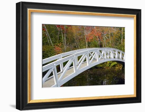 White Footbridge, Autumn, Somesville, Mount Desert Island, Maine, Usa-Michel Hersen-Framed Photographic Print