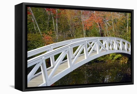 White Footbridge, Autumn, Somesville, Mount Desert Island, Maine, Usa-Michel Hersen-Framed Premier Image Canvas