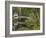 White Footbridge, Somesville, Mount Desert Island, Maine, USA-Adam Jones-Framed Photographic Print