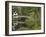 White Footbridge, Somesville, Mount Desert Island, Maine, USA-Adam Jones-Framed Photographic Print