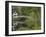 White Footbridge, Somesville, Mount Desert Island, Maine, USA-Adam Jones-Framed Photographic Print