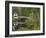 White Footbridge, Somesville, Mount Desert Island, Maine, USA-Adam Jones-Framed Photographic Print