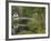 White Footbridge, Somesville, Mount Desert Island, Maine, USA-Adam Jones-Framed Photographic Print