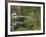 White Footbridge, Somesville, Mount Desert Island, Maine, USA-Adam Jones-Framed Photographic Print