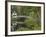 White Footbridge, Somesville, Mount Desert Island, Maine, USA-Adam Jones-Framed Photographic Print