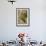 White Fronted Amazon Parrot, Roatan Butterfly Garden, Tropical Bird, Honduras-Jim Engelbrecht-Framed Photographic Print displayed on a wall