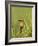 White-Fronted Bee-Eater, Kruger National Park, South Africa, Africa-James Hager-Framed Photographic Print