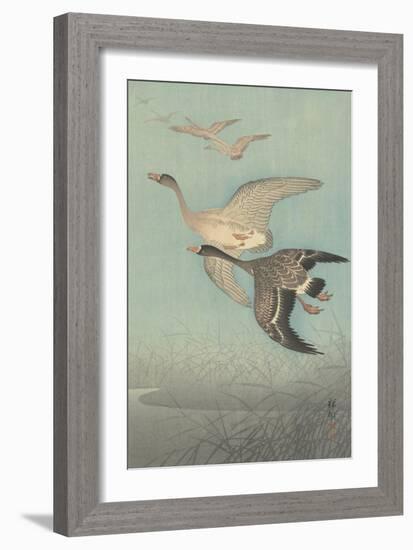 White-Fronted Geese in Flight, 1925-36-Shozaburo Watanabe-Framed Art Print