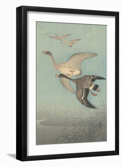 White-Fronted Geese in Flight, 1925-36-Shozaburo Watanabe-Framed Art Print