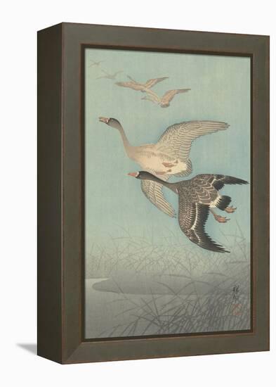 White-Fronted Geese in Flight, 1925-36-Shozaburo Watanabe-Framed Stretched Canvas