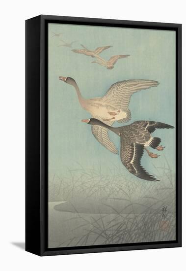 White-Fronted Geese in Flight, 1925-36-Shozaburo Watanabe-Framed Stretched Canvas