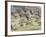 White Fronted Geese, Taking off from Field, Europe-Dietmar Nill-Framed Photographic Print