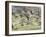 White Fronted Geese, Taking off from Field, Europe-Dietmar Nill-Framed Photographic Print