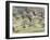 White Fronted Geese, Taking off from Field, Europe-Dietmar Nill-Framed Photographic Print