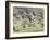 White Fronted Geese, Taking off from Field, Europe-Dietmar Nill-Framed Photographic Print