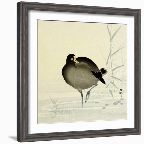 White-Fronted Goose-Koson Ohara-Framed Giclee Print