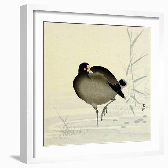 White-Fronted Goose-Koson Ohara-Framed Giclee Print