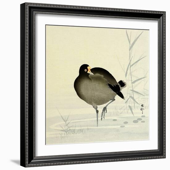 White-Fronted Goose-Koson Ohara-Framed Giclee Print