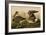 White Fronted Goose-John James Audubon-Framed Art Print