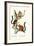 White-Fronted Lemur, 1824-Karl Joseph Brodtmann-Framed Giclee Print