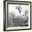 White Garden B&W-Andreas Stridsberg-Framed Giclee Print