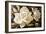 White Gardenia Flowers-Lea Faucher-Framed Art Print