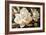 White Gardenia Flowers-Lea Faucher-Framed Art Print