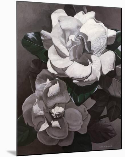 White Gardenias-Hornbuckle-Mounted Art Print