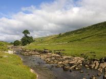 River Wharfe, Upper Wharfedale, Yorkshire Dales National Park, North Yorkshire, England, UK-White Gary-Photographic Print