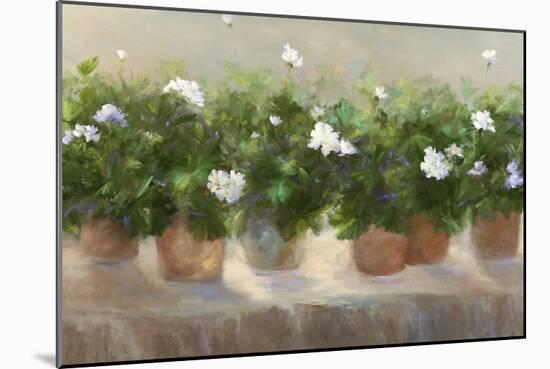 White Geraniums-Sheila Finch-Mounted Art Print