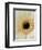 White Gerbera Daisy-Clive Nichols-Framed Photographic Print