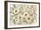 White Gold and Sage Floral-Silvia Vassileva-Framed Art Print