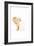 White Gold Elephants 2-Sarah Manovski-Framed Giclee Print