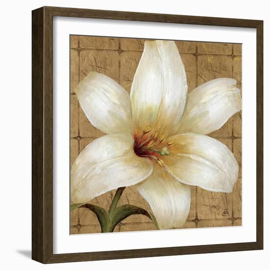 White Gold I-Daphne Brissonnet-Framed Art Print