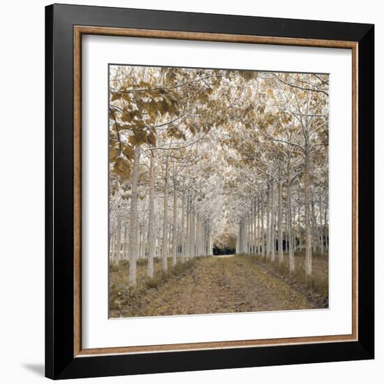 White Gold-Assaf Frank-Framed Giclee Print