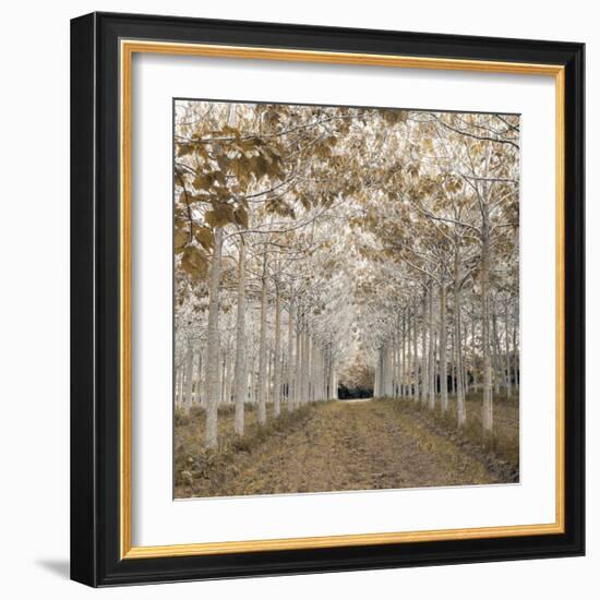 White Gold-Assaf Frank-Framed Giclee Print