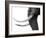 WHITE GOLD-Jaco Marx-Framed Photographic Print