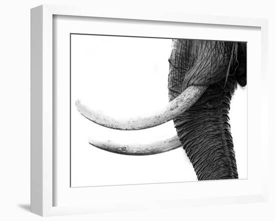 WHITE GOLD-Jaco Marx-Framed Photographic Print