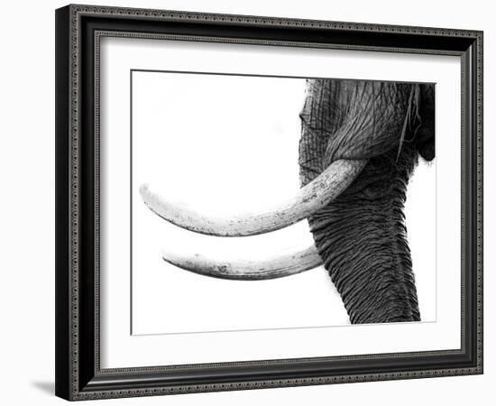 WHITE GOLD-Jaco Marx-Framed Photographic Print