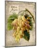 White Grapes-Kate Ward Thacker-Mounted Giclee Print