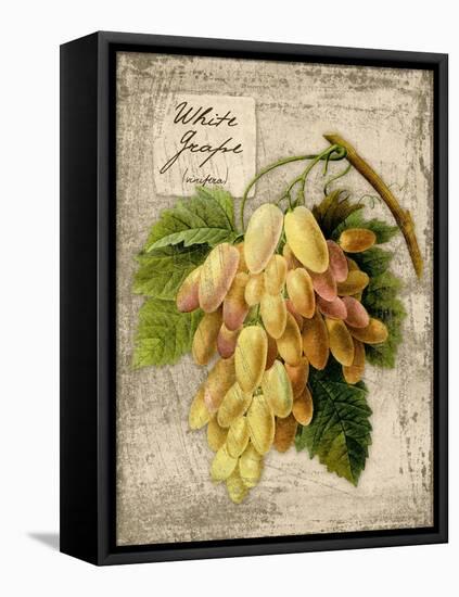 White Grapes-Kate Ward Thacker-Framed Premier Image Canvas