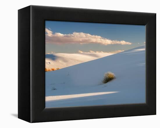 White gypsum dunes with yuccas (Yucca elata), White Sands National Monument, New Mexico, USA-Panoramic Images-Framed Premier Image Canvas