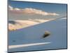 White gypsum dunes with yuccas (Yucca elata), White Sands National Monument, New Mexico, USA-Panoramic Images-Mounted Photographic Print