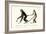 White-Handed Gibbon, 1824-Karl Joseph Brodtmann-Framed Giclee Print