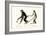 White-Handed Gibbon, 1824-Karl Joseph Brodtmann-Framed Giclee Print