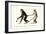 White-Handed Gibbon, 1824-Karl Joseph Brodtmann-Framed Giclee Print