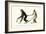 White-Handed Gibbon, 1824-Karl Joseph Brodtmann-Framed Giclee Print