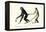 White-Handed Gibbon, 1824-Karl Joseph Brodtmann-Framed Premier Image Canvas